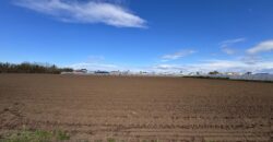 TERRENO AGRICOLO 10000MQ Lago Patria