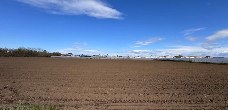 TERRENO AGRICOLO 10000MQ Lago Patria