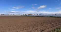 TERRENO AGRICOLO 10000MQ Lago Patria