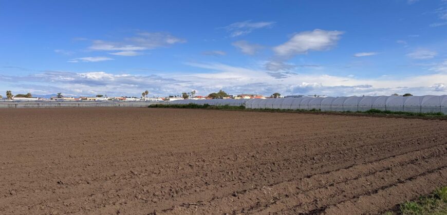 TERRENO AGRICOLO 10000MQ Lago Patria
