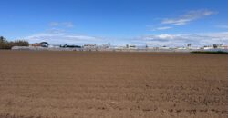 TERRENO AGRICOLO 10000MQ Lago Patria