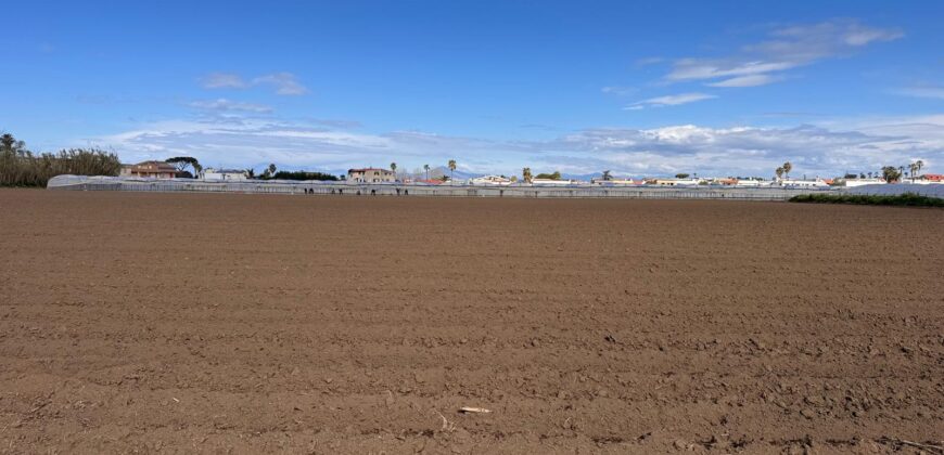 TERRENO AGRICOLO 10000MQ Lago Patria