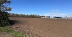 TERRENO AGRICOLO 10000MQ Lago Patria