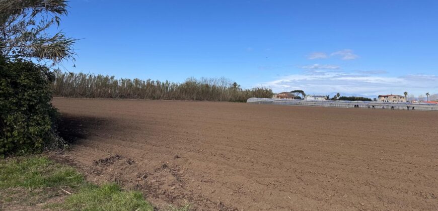 TERRENO AGRICOLO 10000MQ Lago Patria