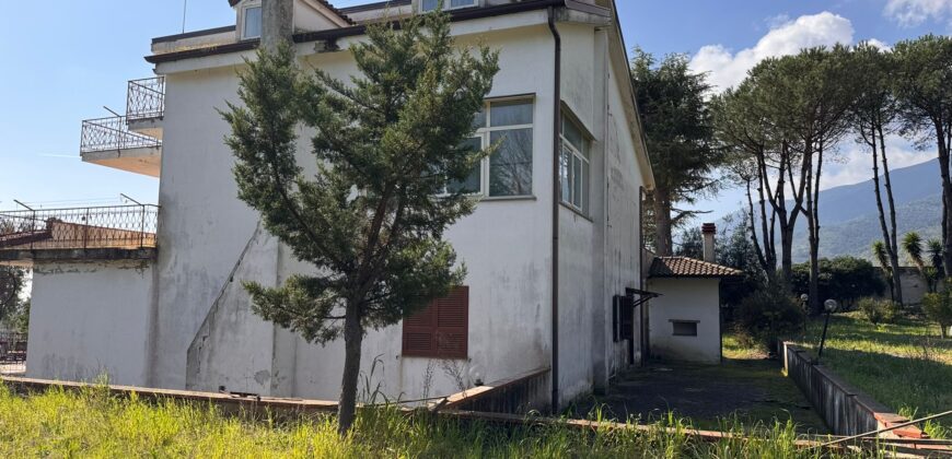 AMPIO CASALE Falciano Del Massico