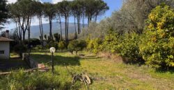 AMPIO CASALE Falciano Del Massico