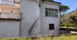 AMPIO CASALE Falciano Del Massico