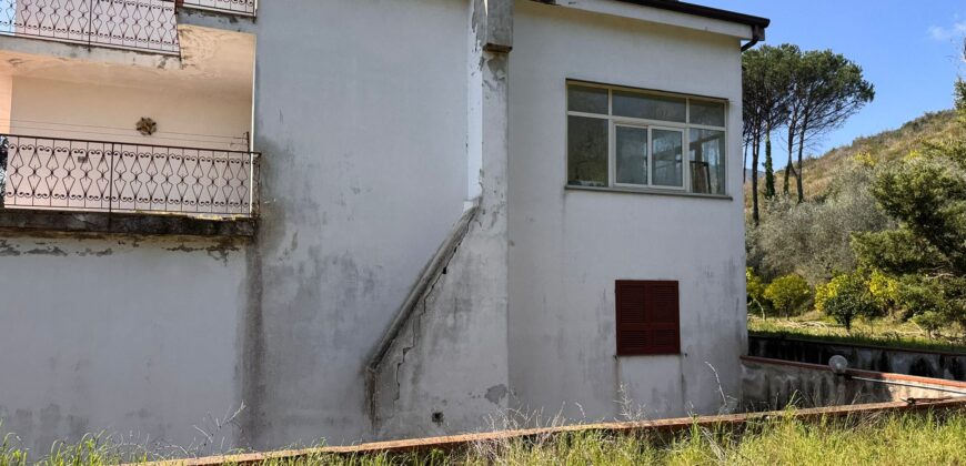 AMPIO CASALE Falciano Del Massico