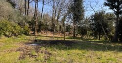 AMPIO CASALE Falciano Del Massico