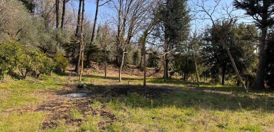 AMPIO CASALE Falciano Del Massico