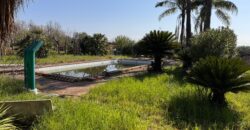 AMPIO CASALE Falciano Del Massico