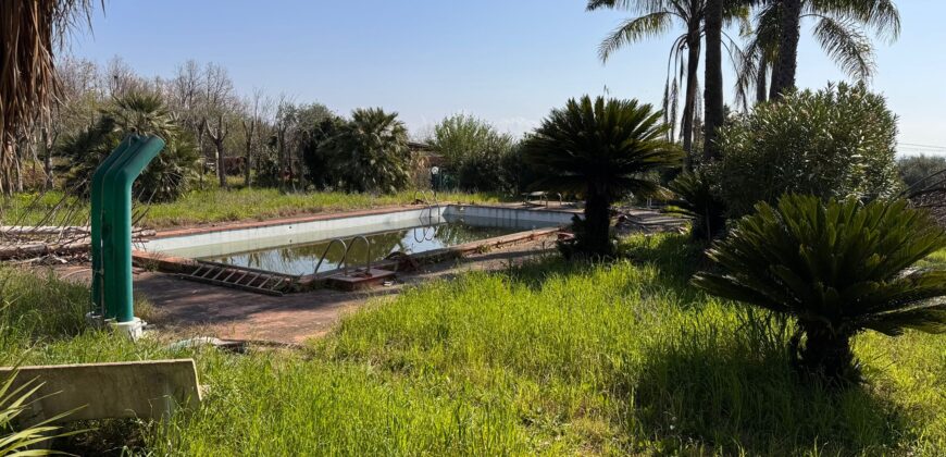 AMPIO CASALE Falciano Del Massico