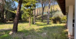 AMPIO CASALE Falciano Del Massico