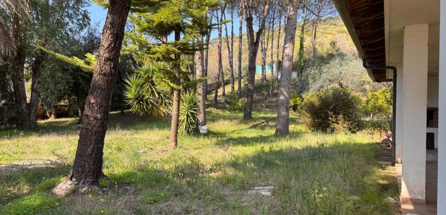 AMPIO CASALE Falciano Del Massico