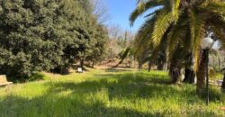 AMPIO CASALE Falciano Del Massico