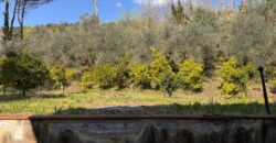 AMPIO CASALE Falciano Del Massico