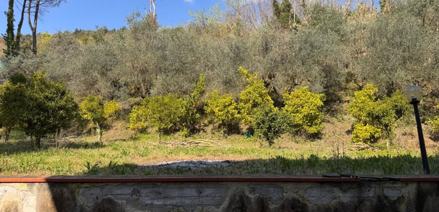 AMPIO CASALE Falciano Del Massico