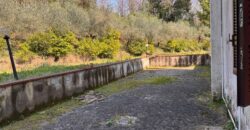 AMPIO CASALE Falciano Del Massico