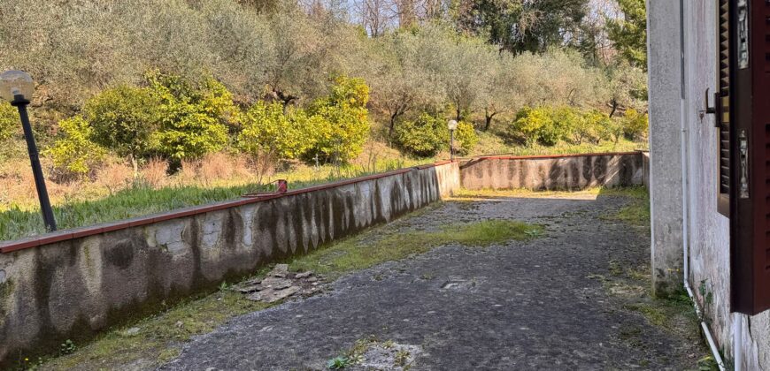 AMPIO CASALE Falciano Del Massico