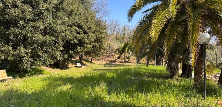 AMPIO CASALE Falciano Del Massico