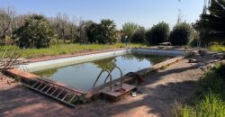 AMPIO CASALE Falciano Del Massico