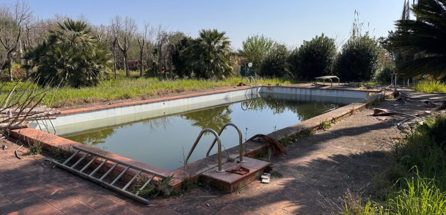 AMPIO CASALE Falciano Del Massico