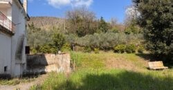 AMPIO CASALE Falciano Del Massico