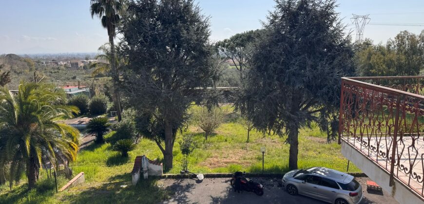 AMPIO CASALE Falciano Del Massico