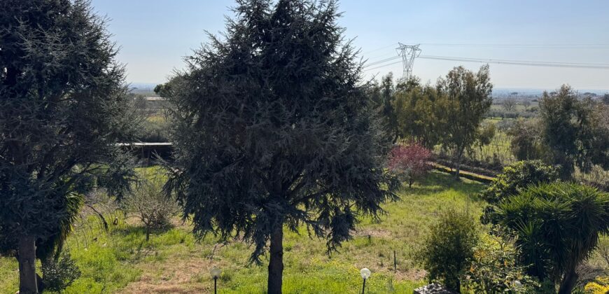 AMPIO CASALE Falciano Del Massico