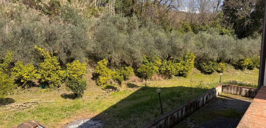 AMPIO CASALE Falciano Del Massico