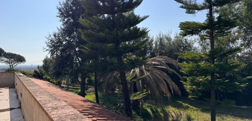 AMPIO CASALE Falciano Del Massico