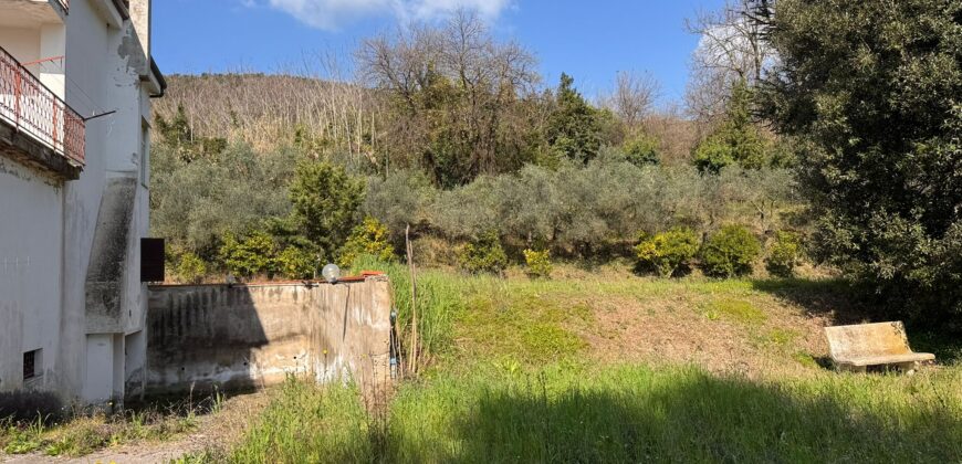 AMPIO CASALE Falciano Del Massico