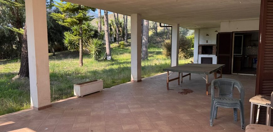 AMPIO CASALE Falciano Del Massico