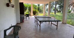 AMPIO CASALE Falciano Del Massico