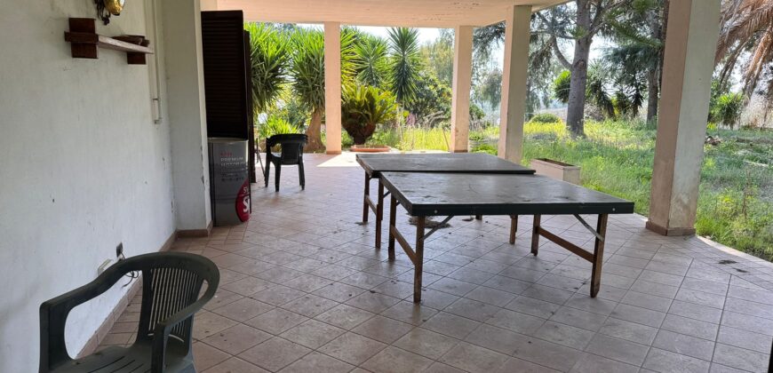 AMPIO CASALE Falciano Del Massico