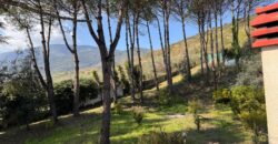 AMPIO CASALE Falciano Del Massico