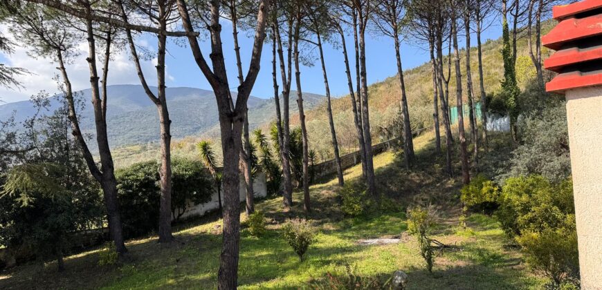 AMPIO CASALE Falciano Del Massico