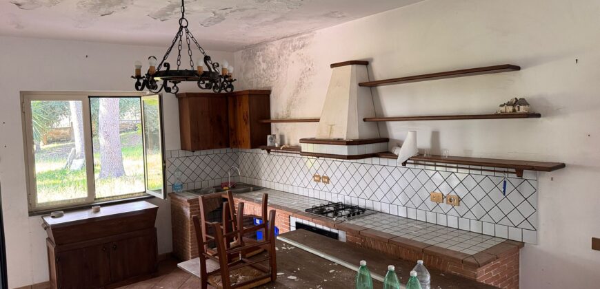 AMPIO CASALE Falciano Del Massico