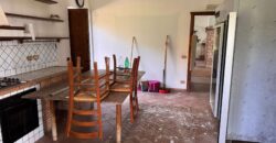 AMPIO CASALE Falciano Del Massico