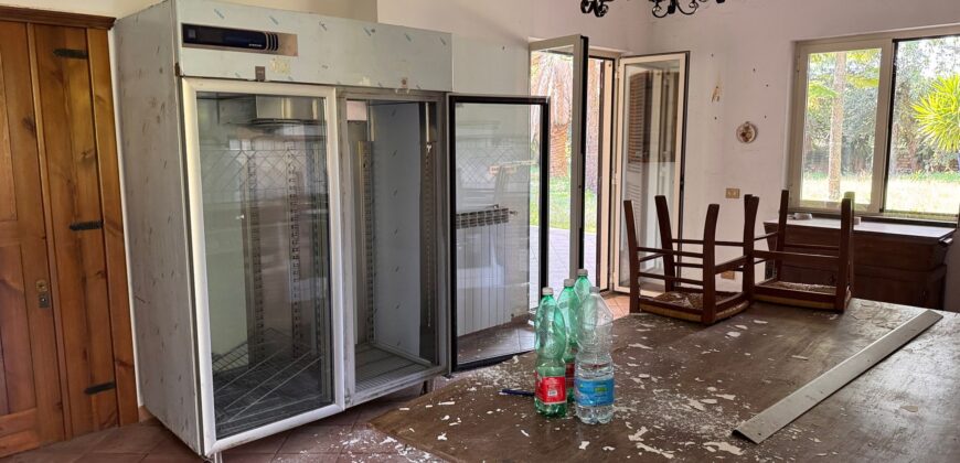 AMPIO CASALE Falciano Del Massico