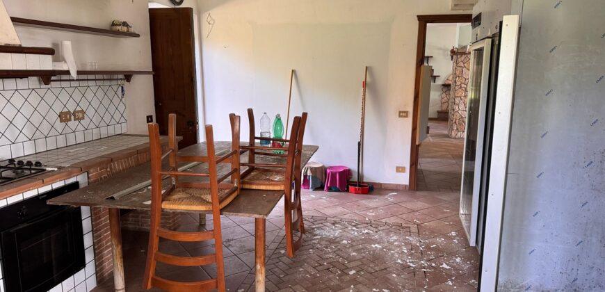 AMPIO CASALE Falciano Del Massico