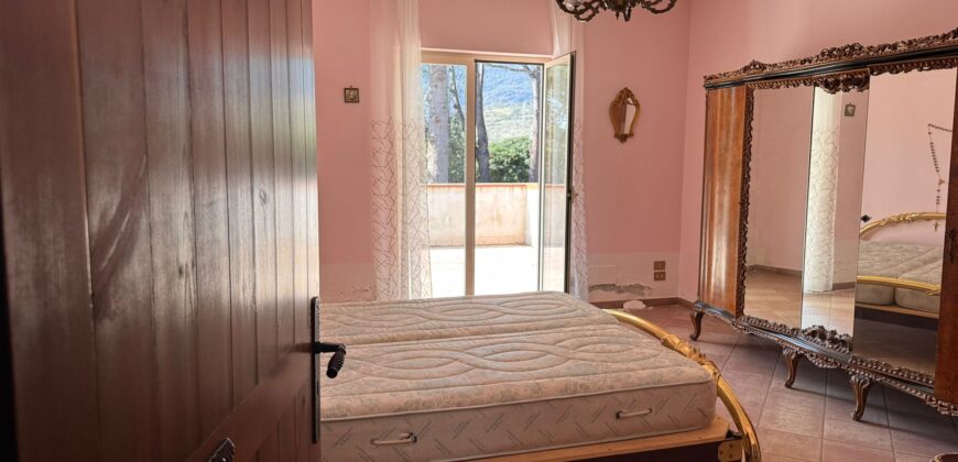 AMPIO CASALE Falciano Del Massico