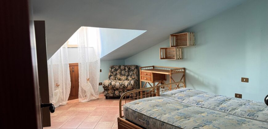 AMPIO CASALE Falciano Del Massico