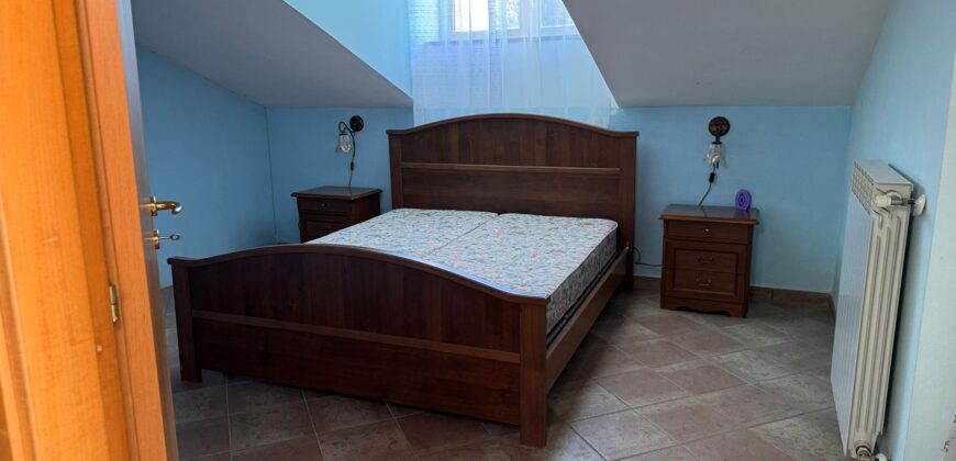 AMPIO CASALE Falciano Del Massico