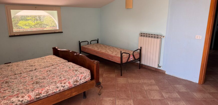 AMPIO CASALE Falciano Del Massico