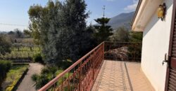 AMPIO CASALE Falciano Del Massico