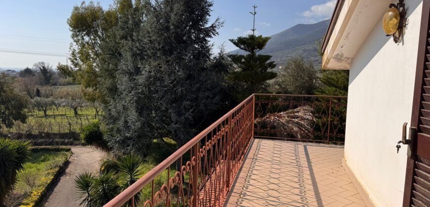 AMPIO CASALE Falciano Del Massico