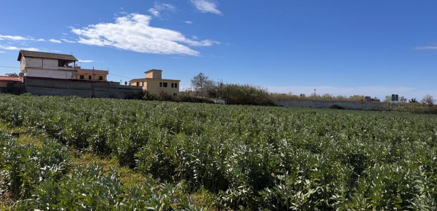 TERRENO AGRICOLO 10000MQ Lago Patria
