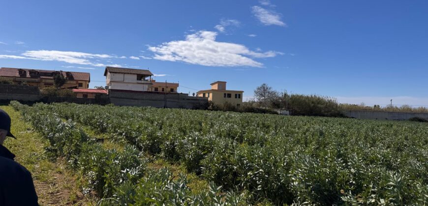 TERRENO AGRICOLO 17200 Varcaturo