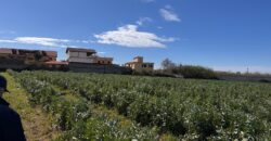 TERRENO AGRICOLO 10000MQ Lago Patria